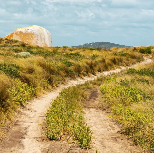 Flinders Island Road to Castle Rock Shutterstock